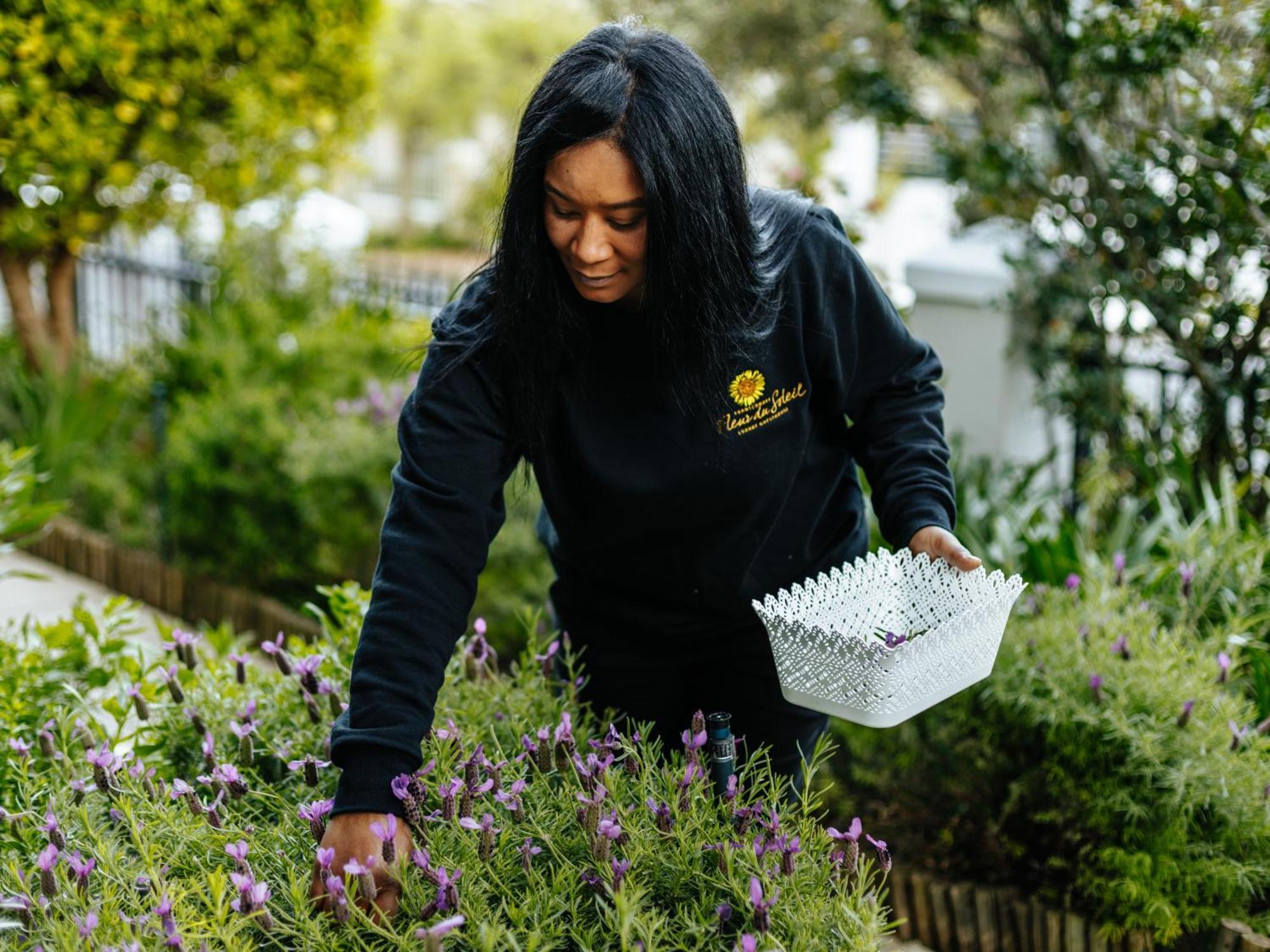 Fleur Du Soleil Luxury Guesthouse Franschhoek Kültér fotó